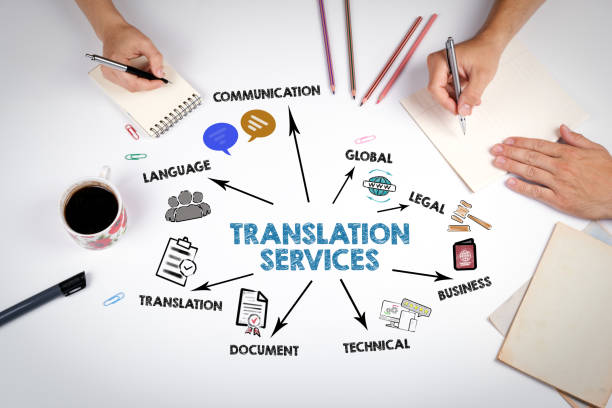 Professional Translation Services